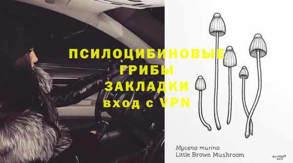 индика Лиски