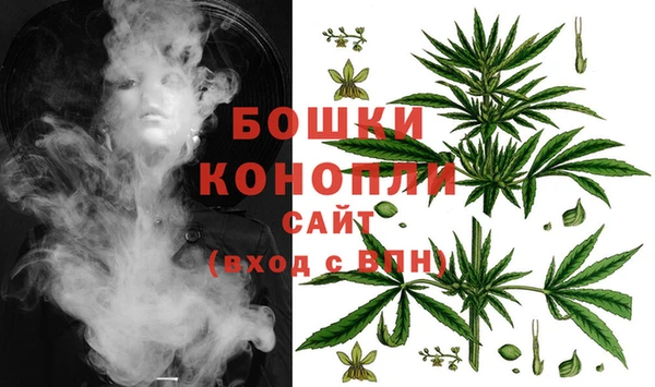 индика Лиски