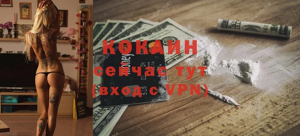 индика Лиски