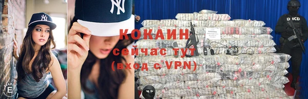 индика Лиски