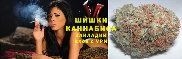 индика Лиски