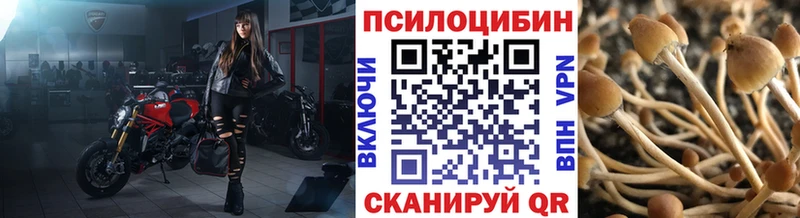 Галлюциногенные грибы мухоморы  Рославль 